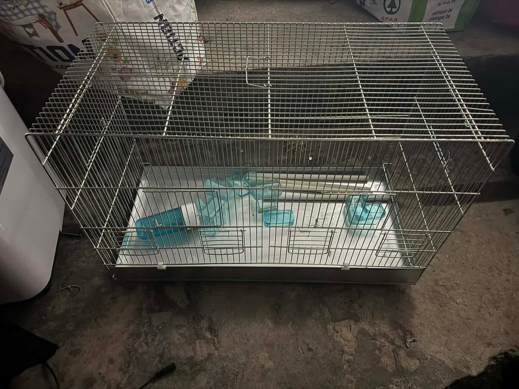 Cage a oiseau à servi 2-3 semaine payer 70€, Ophalen of Verzenden, Zo goed als nieuw
