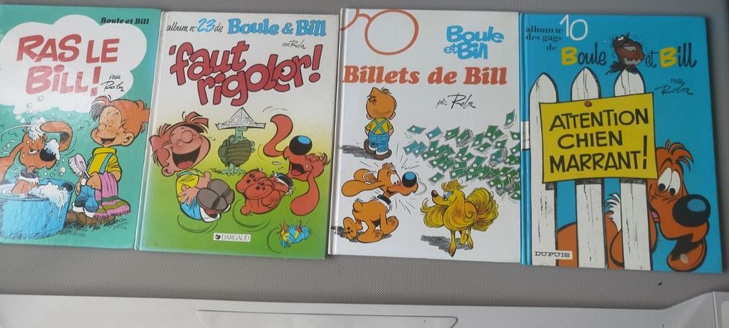 BD  boule et Bill, Enlèvement