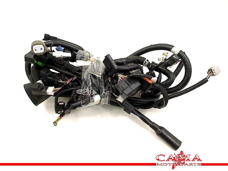 KABELBOOM Suzuki AN 400 Burgman 2018- (AN400) (01-2018/-), Motoren, Dhr. S. di Majo, Gebruikt, Info@cama-motorparts.nl, P.J. Troelstraweg 8 8
3144 CX  MAASSLUIS, NL