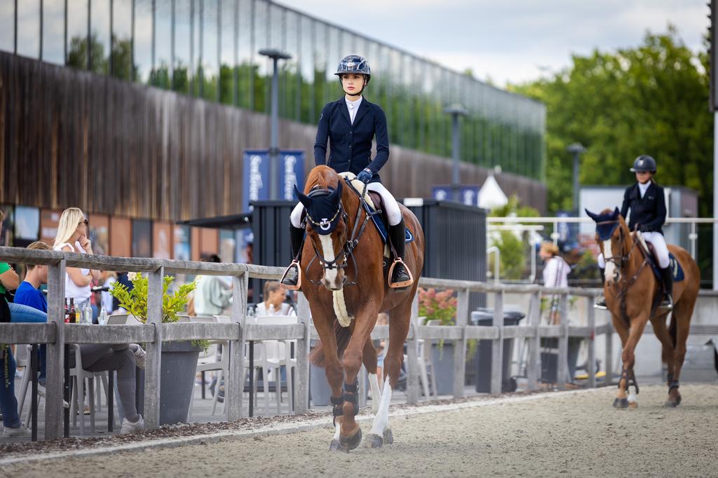 Paardrijden op maat, Dieren en Toebehoren, Paarden