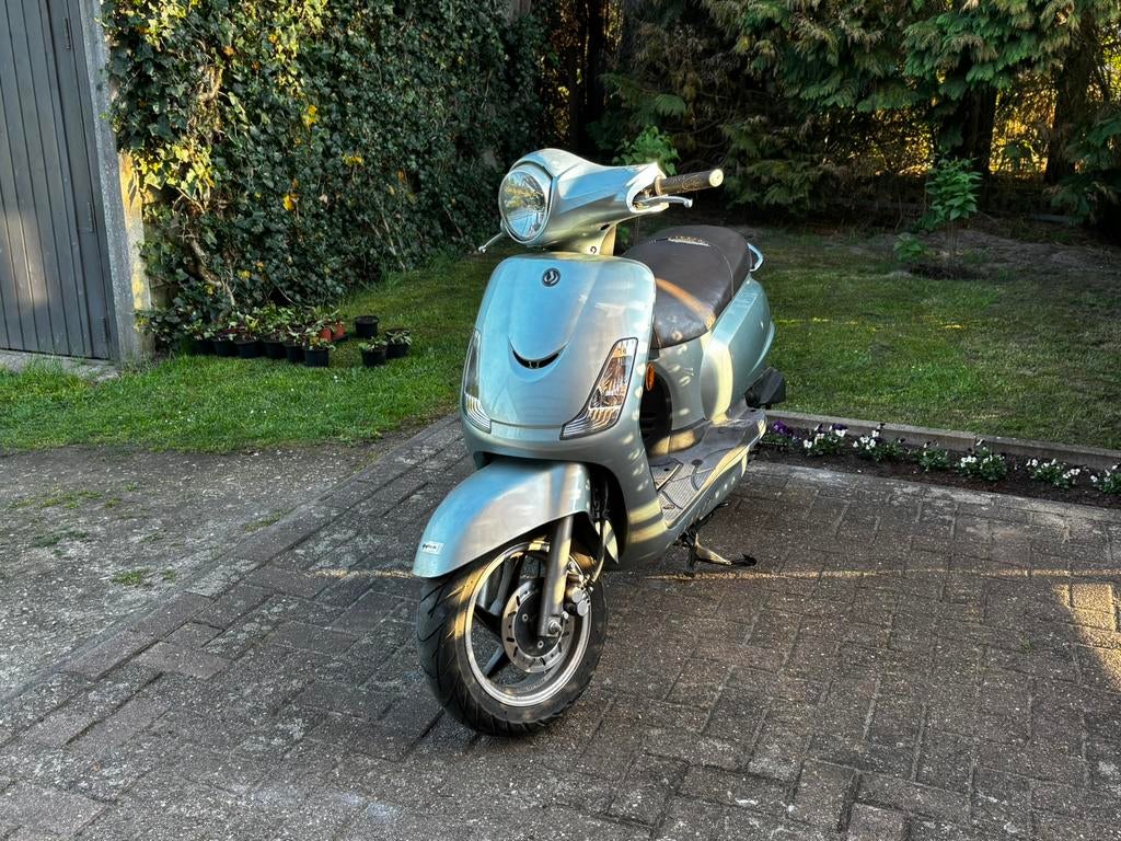 NE COMMENCEZ PAS LE COURS DE SYM FIDDLE A, Enlèvement, Comme neuf