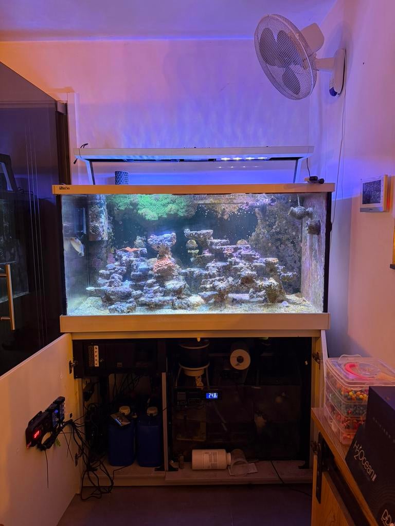 Reefer Red Sea Max 500, Animaux & Accessoires, Poissons | Aquariums & Accessoires, Comme neuf, Red Sea, Enlèvement
