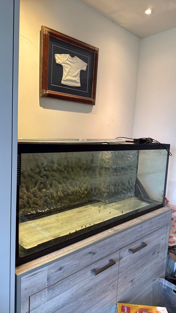 Groot Aquarium, Dieren en Toebehoren, Vissen | Aquaria en Toebehoren, Ophalen, Gebruikt, Leeg aquarium