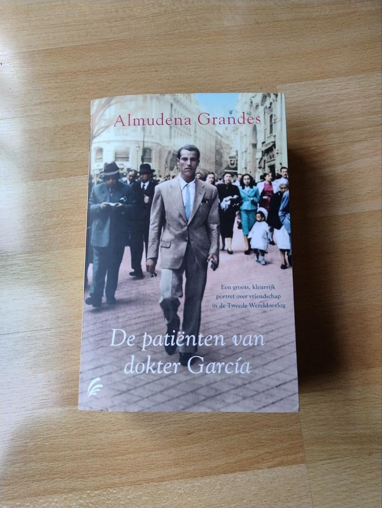 Almudena Grandes - De patiënten van dokter García, Boeken, Literatuur, Ophalen