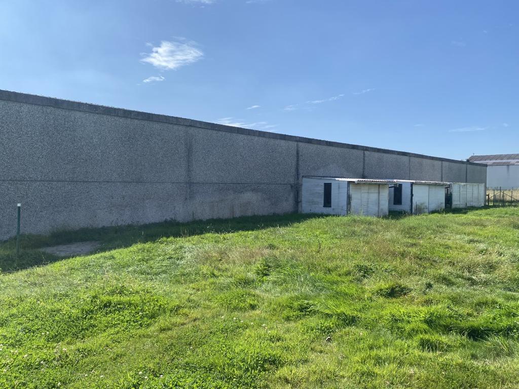 Stalling en weidegang beschikbaar voor te huren, Animaux & Accessoires, Pâturage