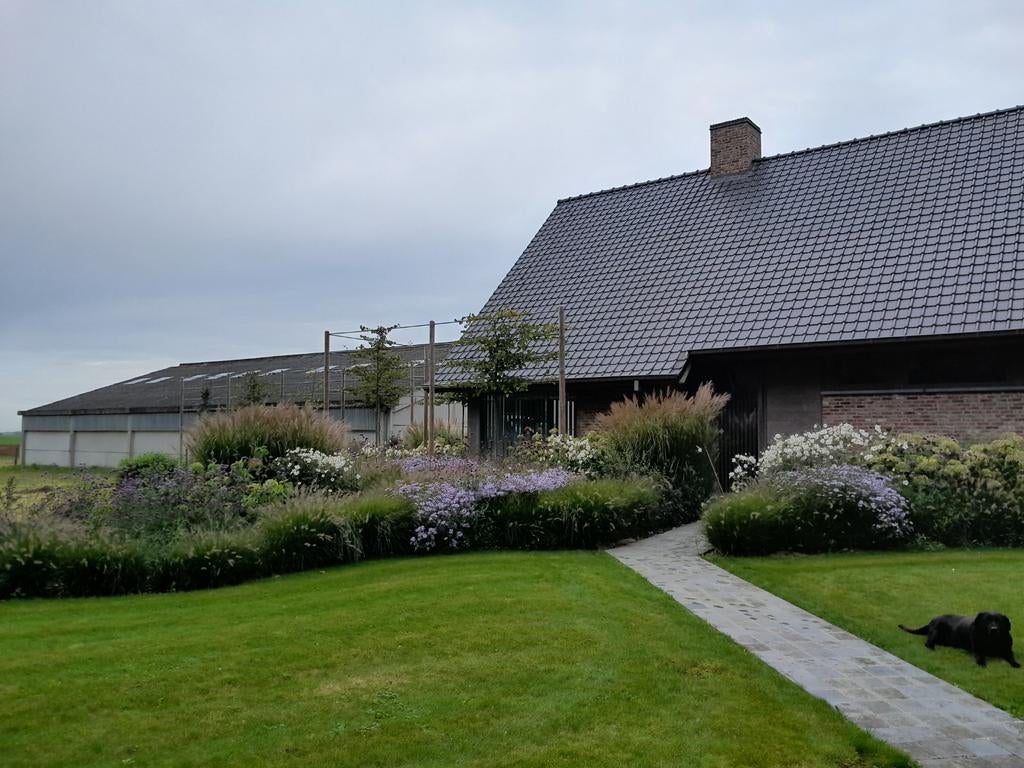 Opslag caravan, Caravans en Kamperen, Caravanopslag