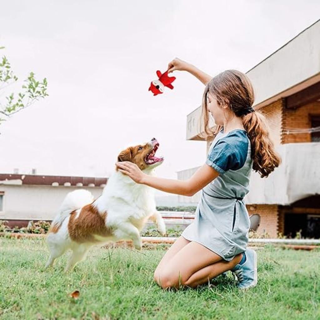 Jouet pour chiot - LIVRAISON RAPIDE ET GRATUITE, Animaux & Accessoires, Neuf, -, -, LEGEND SANDY