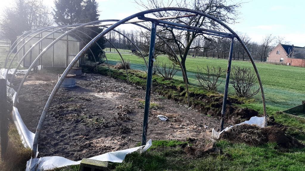 Serre tunnel. Tunnelbogen te koop, Enlèvement