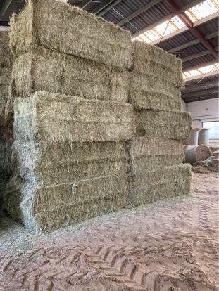 Goede topkwaliteit! Per truck geleverd!, Dieren en Toebehoren, Ophalen