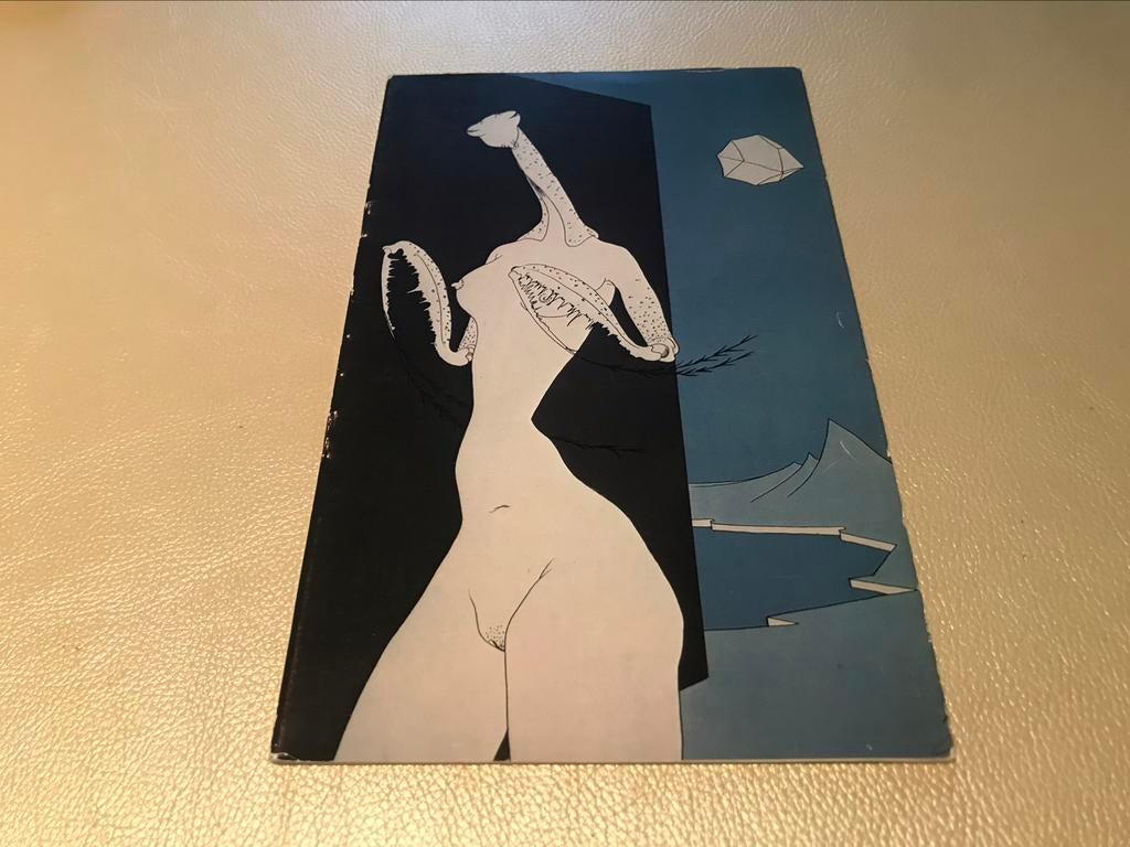 Felix Labisse lithographies 30pag, Ophalen of Verzenden, Zo goed als nieuw, Schilder- en Tekenkunst