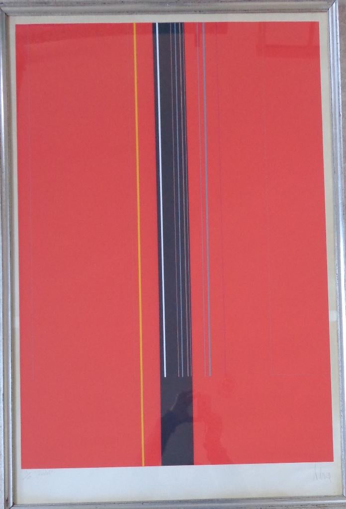 LUC PEIRE / ROSTEL / KLEURZEEFDRUK / 114x77cm / KADER / SIG, Antiek en Kunst, Ophalen