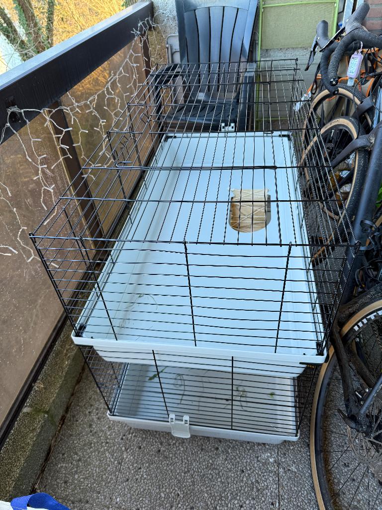 Cage à deux étages pour cobayes/lapins 120x60cm, Animaux & Accessoires, Moins de 60 cm, Cage, Cobaye, Enlèvement