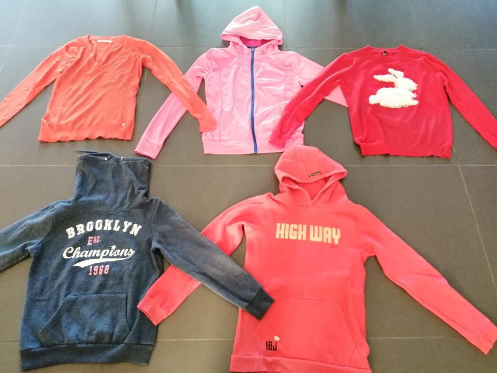 Leuke truien meisjes 14 jaar, Enlèvement ou Envoi, Comme neuf, Fille, Pull ou Veste