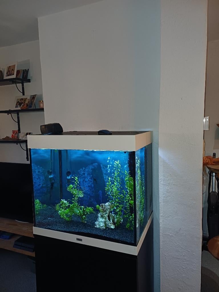 Aquarium jewel lido 2000 LED, Dieren en Toebehoren, Vissen | Aquaria en Toebehoren, Ophalen, Gebruikt, Pomp, Aquariummeubel