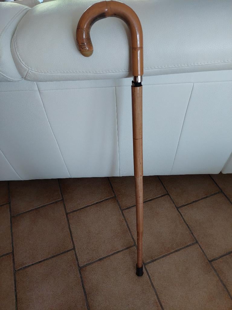 Antiquités  Canne parapluie, Antiquités & Art, Enlèvement