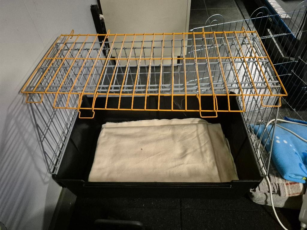 autobench hond, Dieren en Toebehoren, Ophalen, Gebruikt