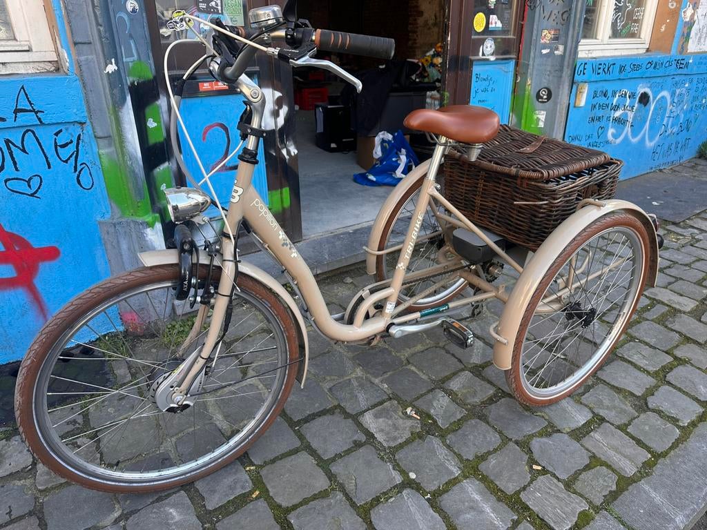 electrische driewieler fiets Papillon tri-bike, Ophalen, Gebruikt