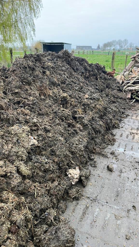 Gratis varkensmest, Enlèvement, Fumier