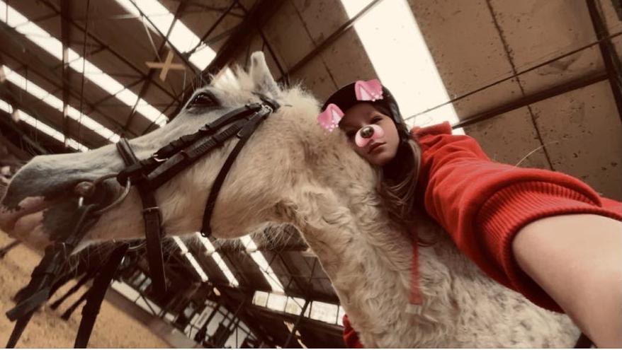 bijrijd pony gezocht, Enlèvement ou Envoi, Comme neuf