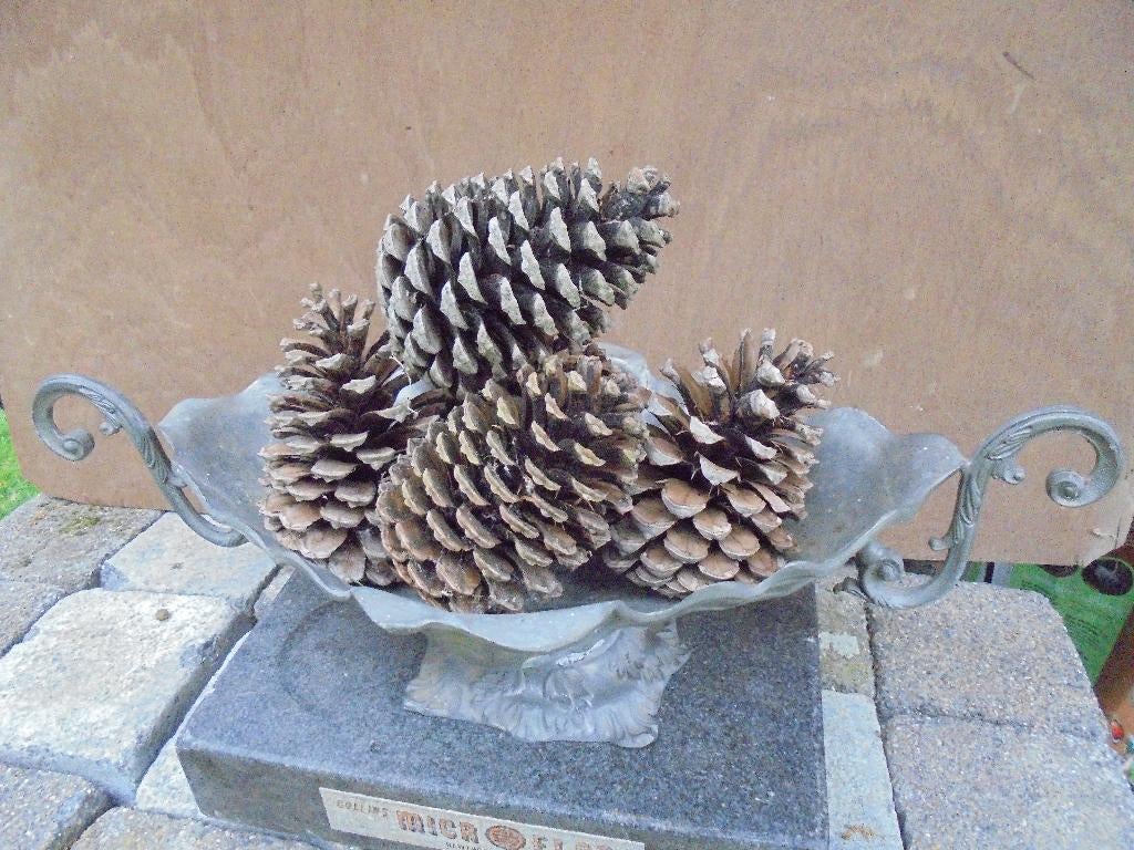 Dennenappels, Hobby en Vrije tijd, Knutselen, Zo goed als nieuw, Knutselmateriaal, Overige merken, Hout, Bruin, Overige thema's