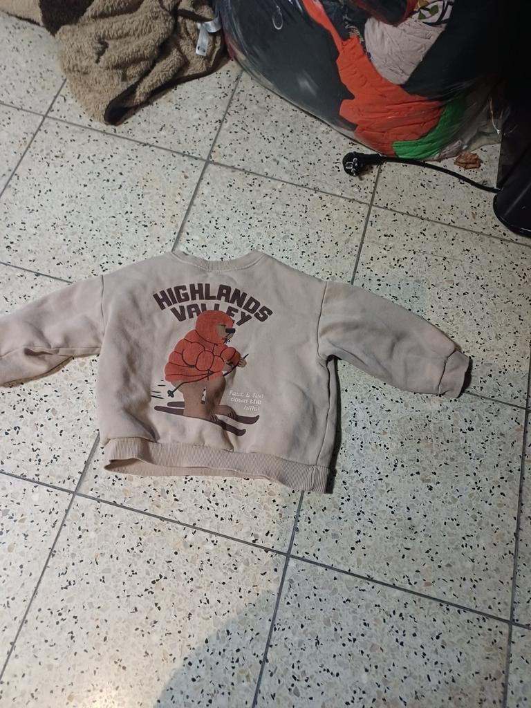 Trui, Ophalen, Trui of Vest, Zo goed als nieuw, Zara