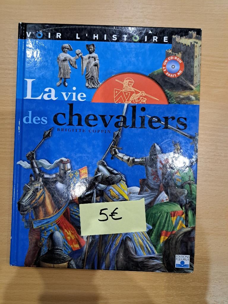 Voir l'Histoire : la vie des chevaliers - Manuel scolaire, Boeken, Schoolboeken, Ophalen, Gelezen, BSO, Geschiedenis