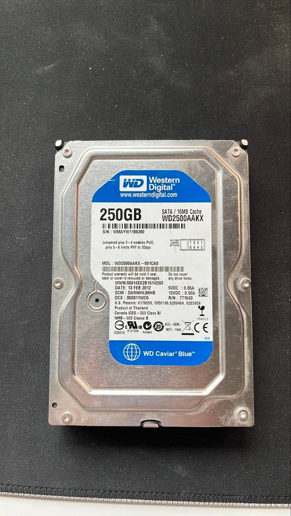 Disque dur Western Digital Caviar Blue de 250 Go, Informatique & Logiciels, Disques durs, Neuf, Enlèvement ou Envoi, Interne, 250 GB