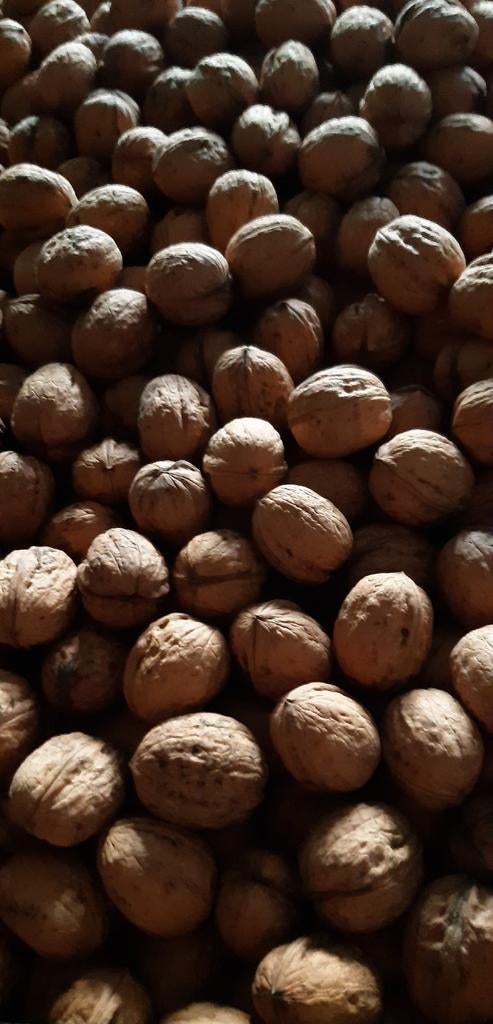 Walnoten, Diversen, Levensmiddelen, Ophalen