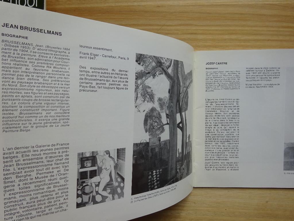 Art Flamand Moderne d'Ensor à Permeke 1980 Paris, Ophalen of Verzenden, Gelezen, Schilder- en Tekenkunst