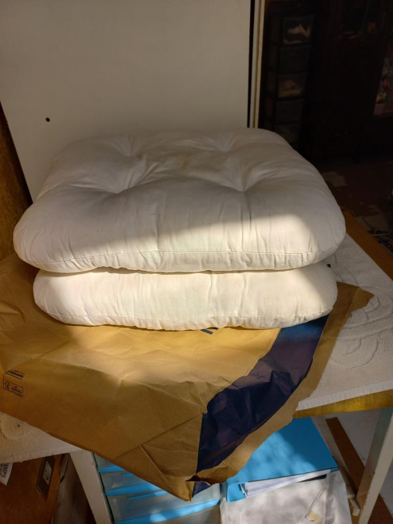 deux gros coussins ecrus, Enlèvement, Utilisé, Blanc, Rectangulaire
