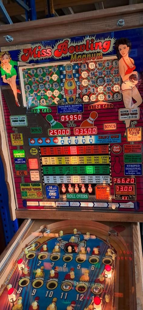 Bingo Miss Bowling Magnum met GARANTIE!, Enlèvement