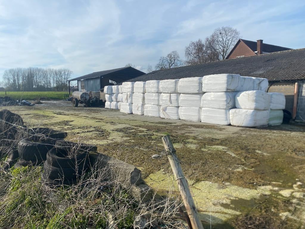 Voordroog gras/raaigras, Dieren en Toebehoren