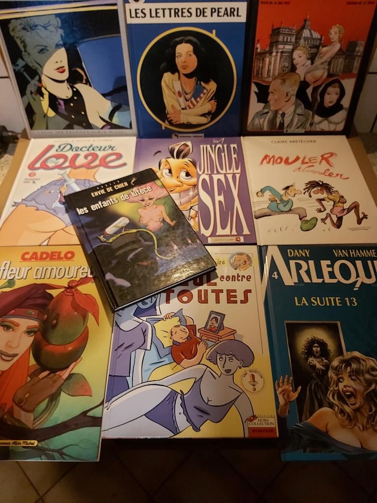 BD ADULTES, Livres, BD, Comme neuf, Une BD, Enlèvement ou Envoi