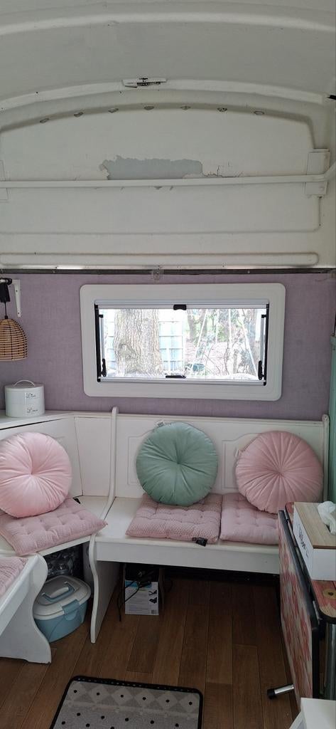 Westfalia 2paardstrailer/multifunctionele ruimte, Enlèvement