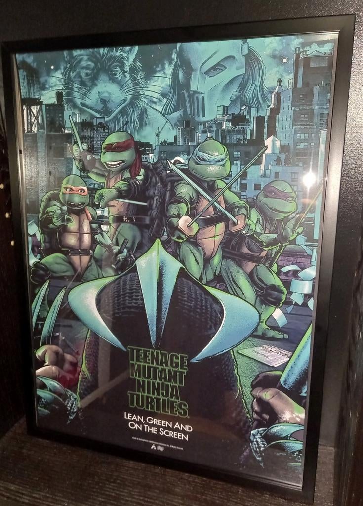 Tortues ninja mutantes adolescentes, Collections, Enlèvement ou Envoi