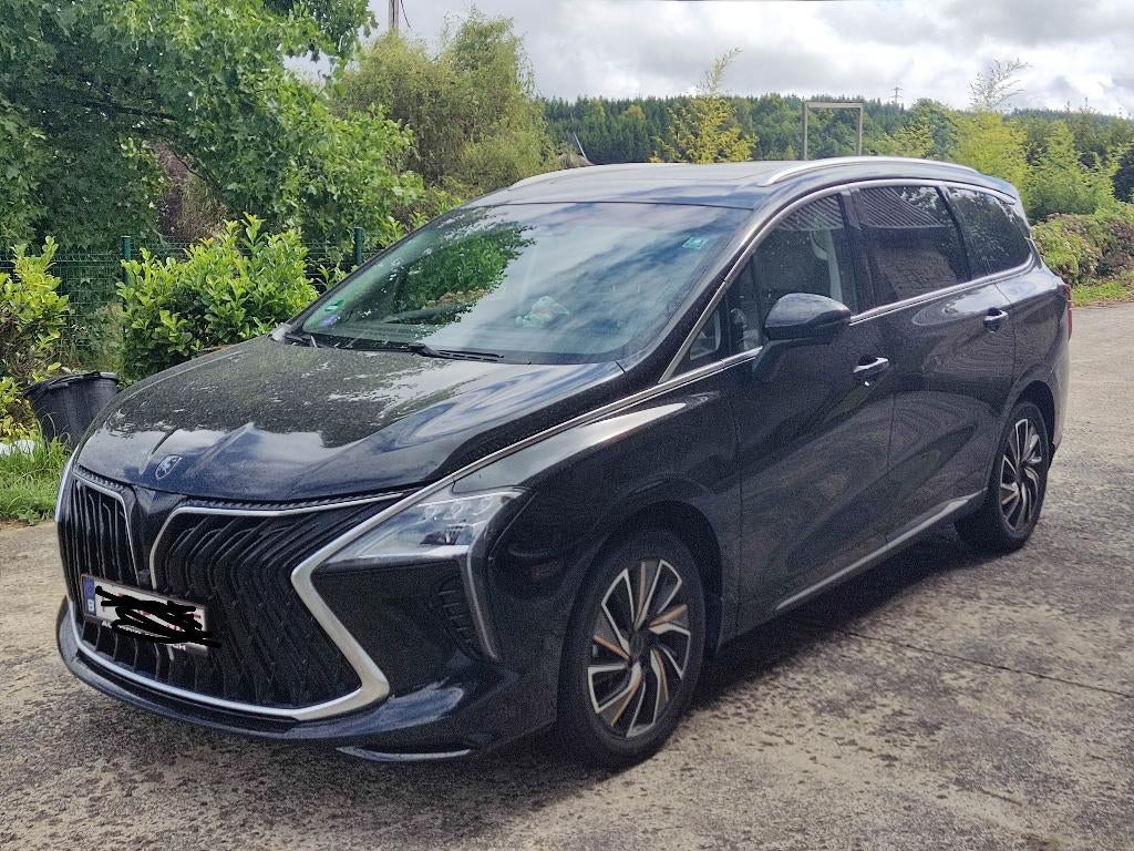 Visite en U de Forthing, Autos, Achat, Euro 6, 7 places, Entretenue par le concessionnaire