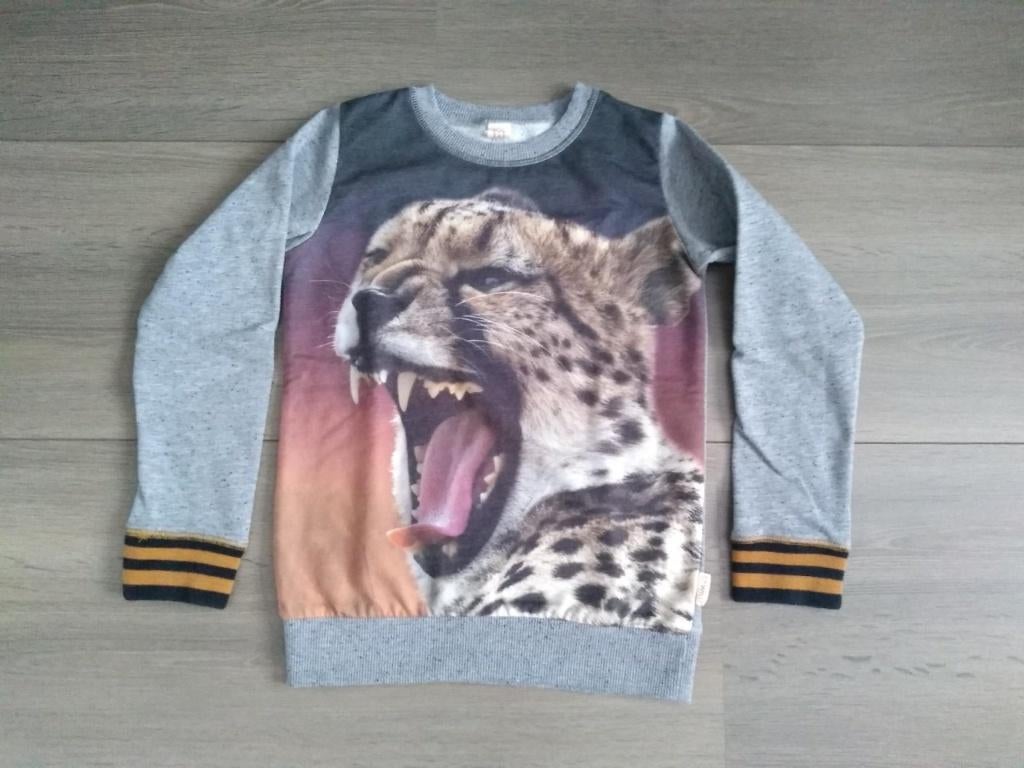 trui Wild maat 134 nieuwstaat, Meisje, Trui of Vest, Ophalen of Verzenden, Zo goed als nieuw