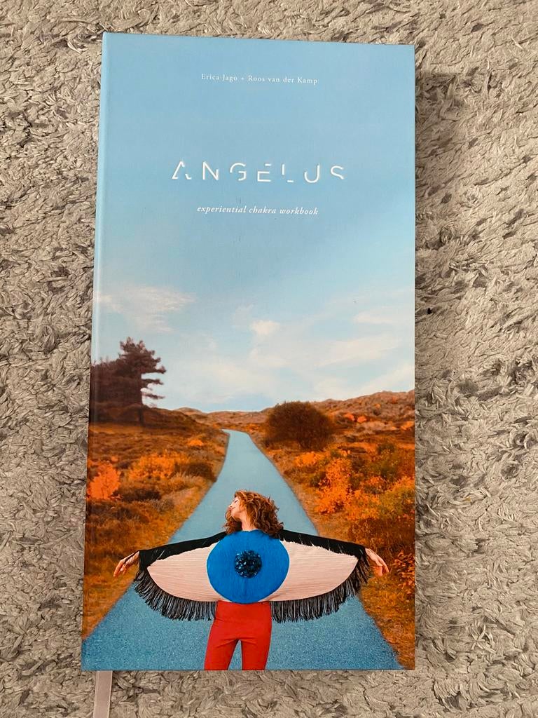 Angelus Workbook chakras, Ophalen, Zo goed als nieuw