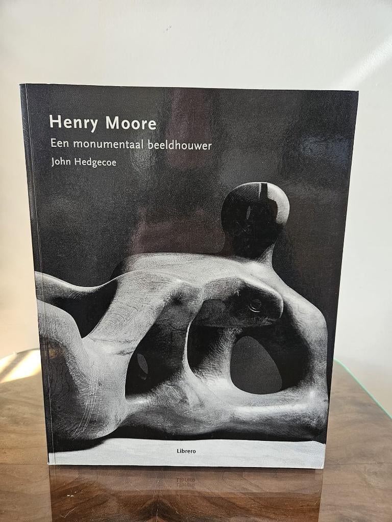kunstboek henry moore, Ophalen of Verzenden