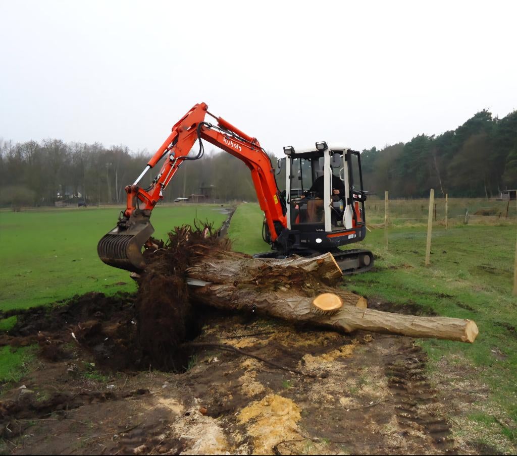 Travaux d'excavation, de terrassement et de démolition, Services & Professionnels