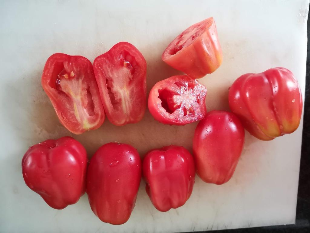 rozerode tomaat Santa Ana - 5 zaden, Tuin en Terras, Bloembollen en Zaden, Zaad, Voorjaar, Verzenden