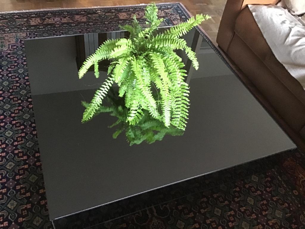 Table basse verre vinted - nouvelle baisse prix, Moins de 50 cm, 50 à 100 cm, Carré, Verre