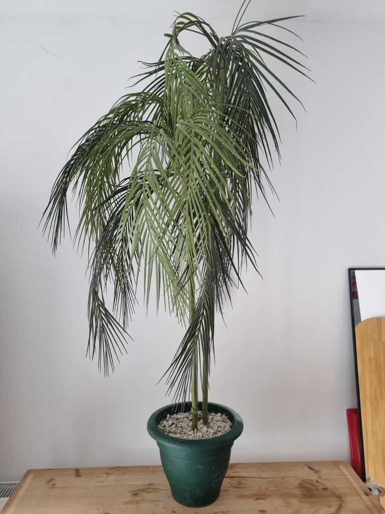 Plante deco plastique, Jardin & Terrasse, Enlèvement ou Envoi