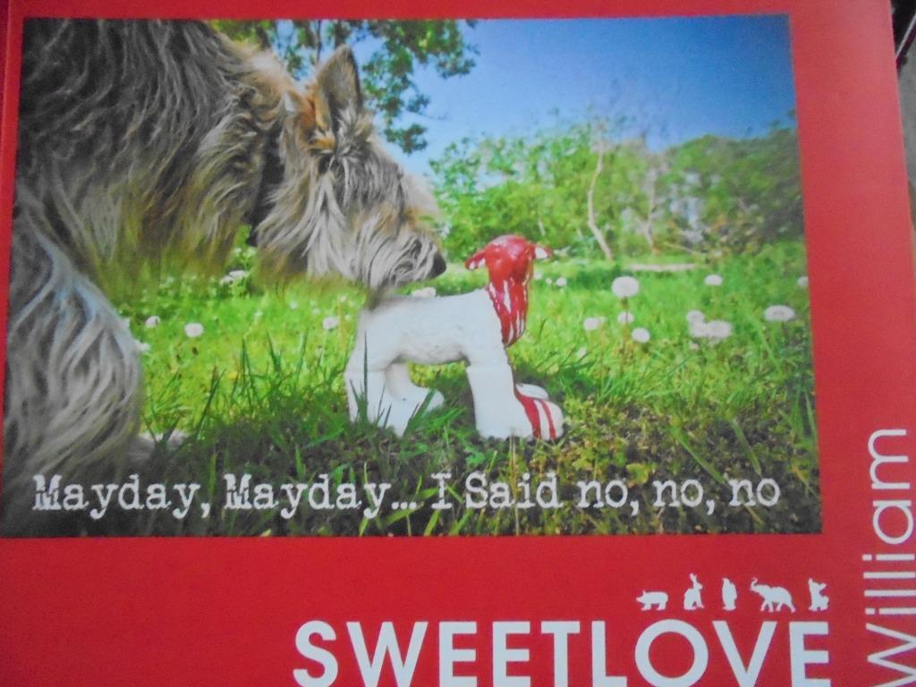 Wiliam Sweetlove  1  Monografie, Verzenden, Nieuw, Beeldhouwkunst