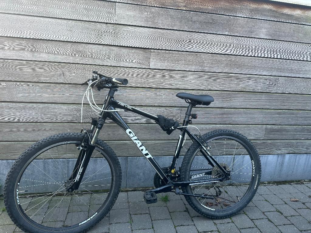 Herenfiets, Moins de 10 vitesses, Enlèvement, 53 à 57 cm, Autres dimensions