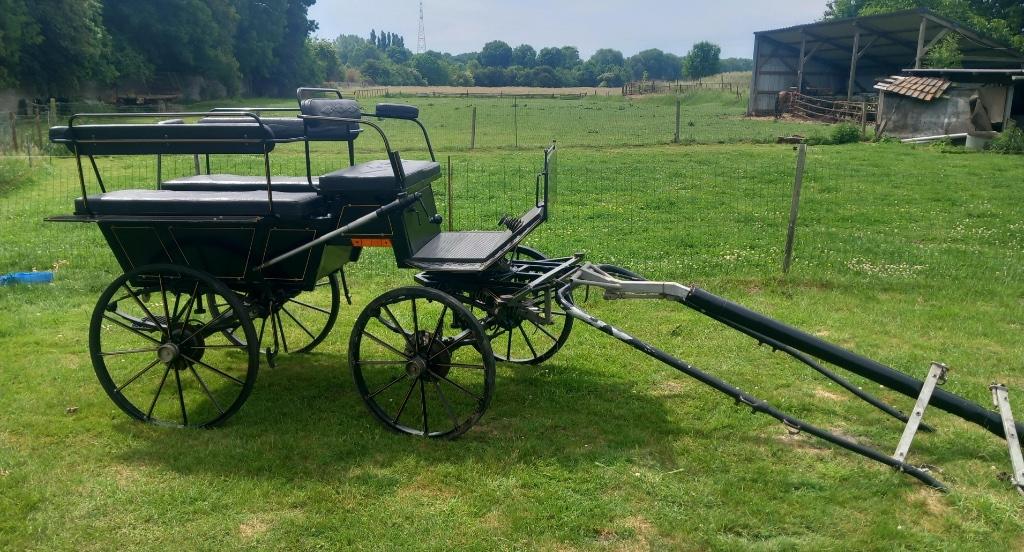 Charrette marathon, Animaux & Accessoires, Utilisé, Calèche marathon, Cheval