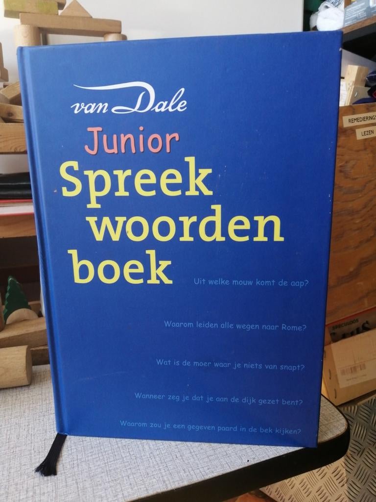 Wim Daniëls - Van Dale Junior Spreekwoordenboek, Boeken, Wim Daniëls, Ophalen of Verzenden, Zo goed als nieuw