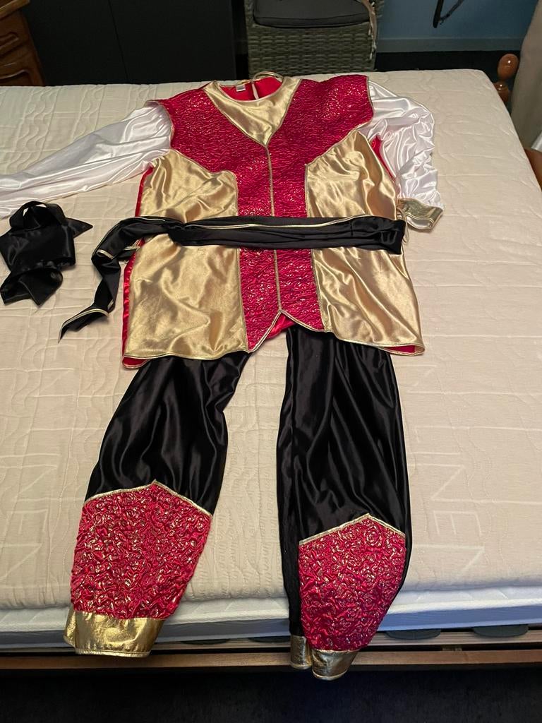 Diverse carnaval kostuums, Ophalen