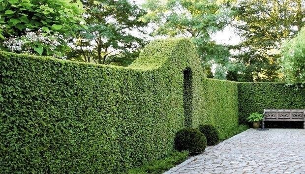 Jardinier, Entretien de jardins ou Taille