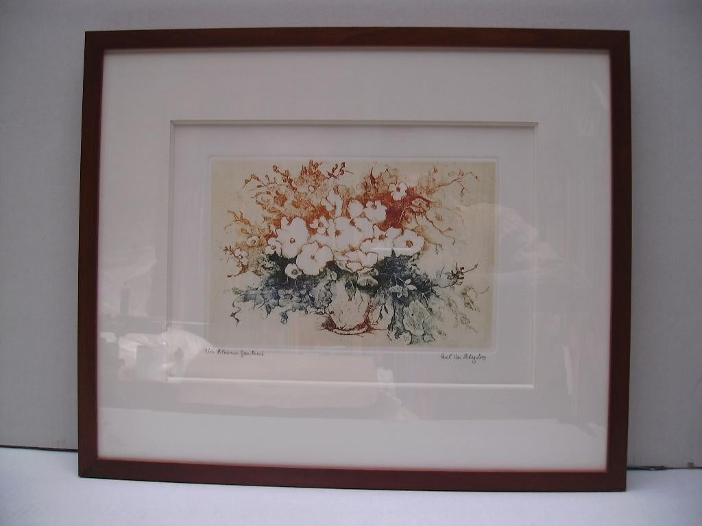 etsen kleur - Paul Van Peteghem, Antiek en Kunst, Kunst | Etsen en Gravures, Ophalen